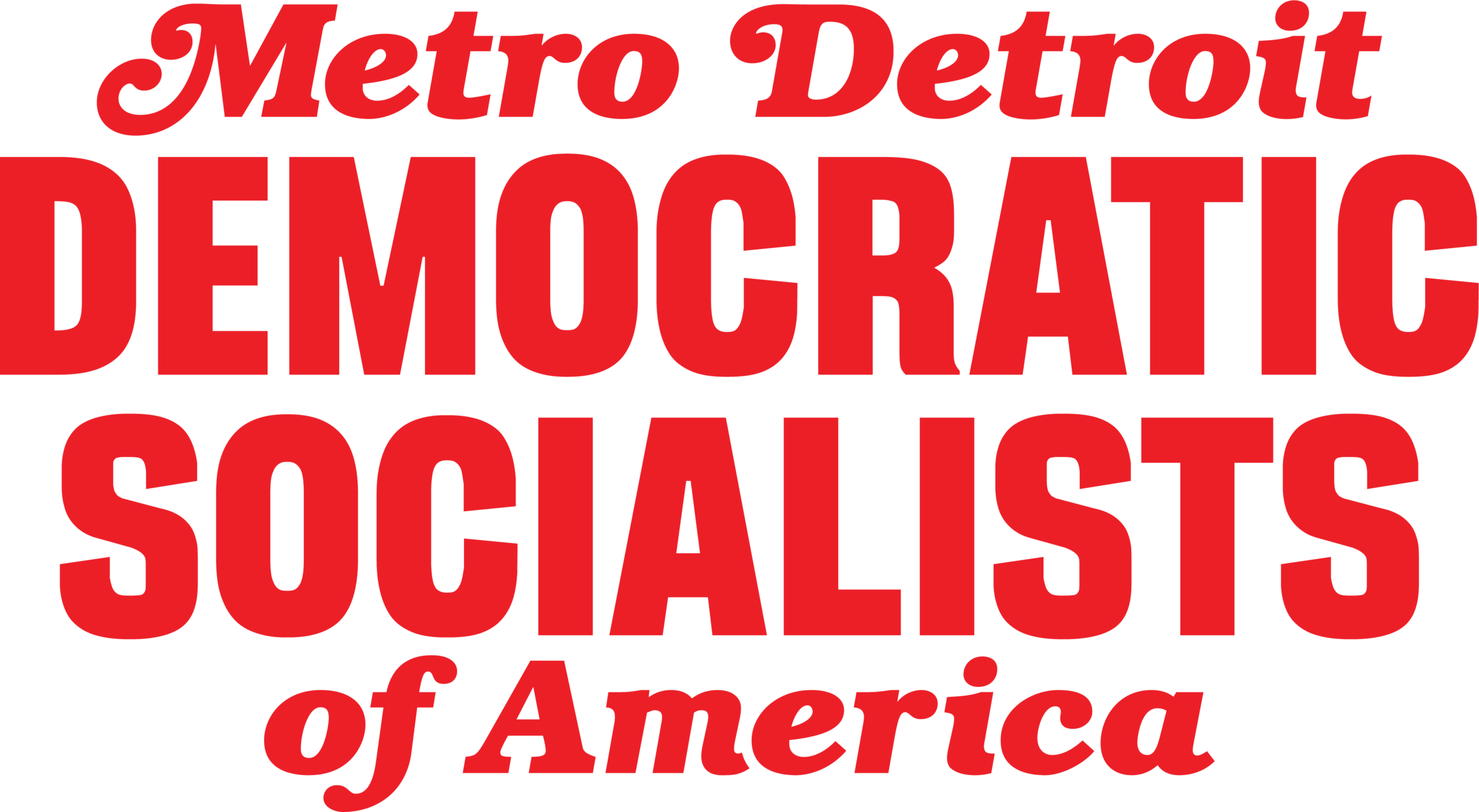 mddsa_wordmark_transparent